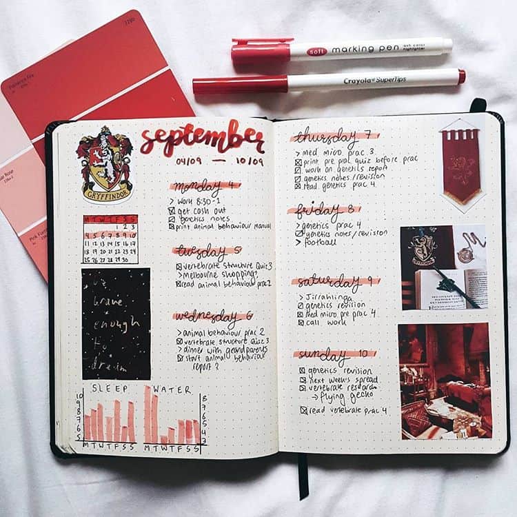 43+ Harry Potter Bullet Journal Theme Inspirations (+ December Plan With  Me)