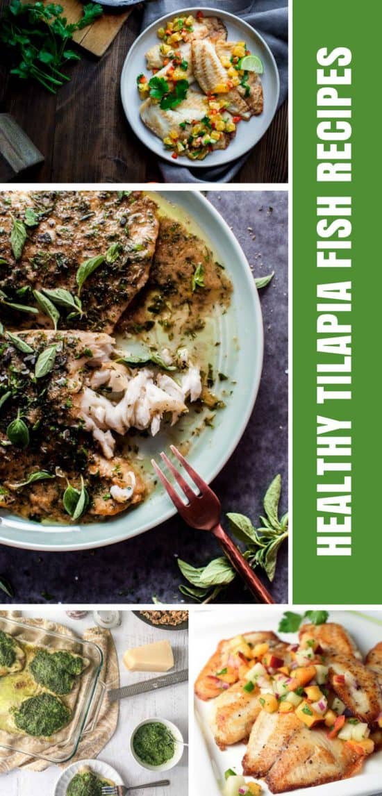 10 Easiest Ever Tilapia Fish Recipes For Quick Healthy Dinners