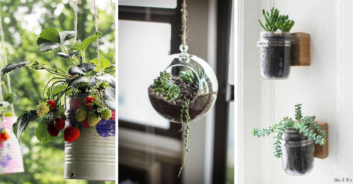 38 Gorgeous DIY Hanging Planters to Help You Breathe More Easily