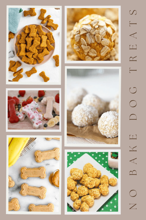 Homemade No Bake Dog Treats 8