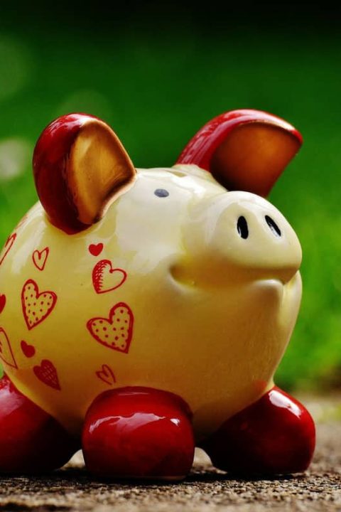 So many simple ways to save money for Disney - maybe we can take the kids after all! Thanks for sharing!