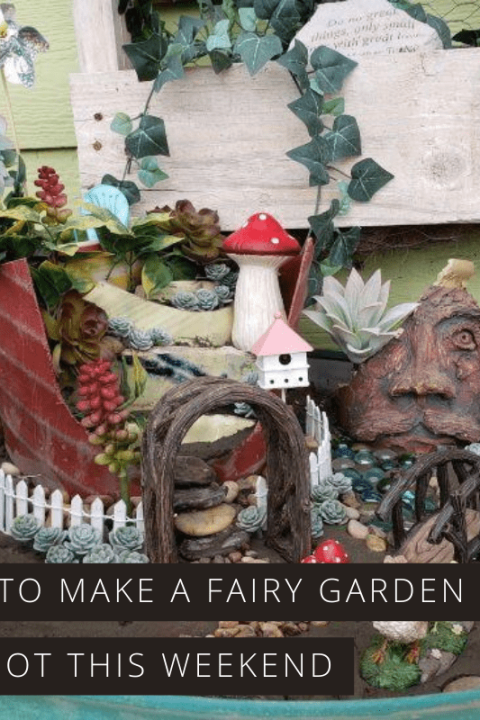 Find out just how easy it is to make a fairy garden in a pot - a fun weekend activities for kids and grownups to do together!