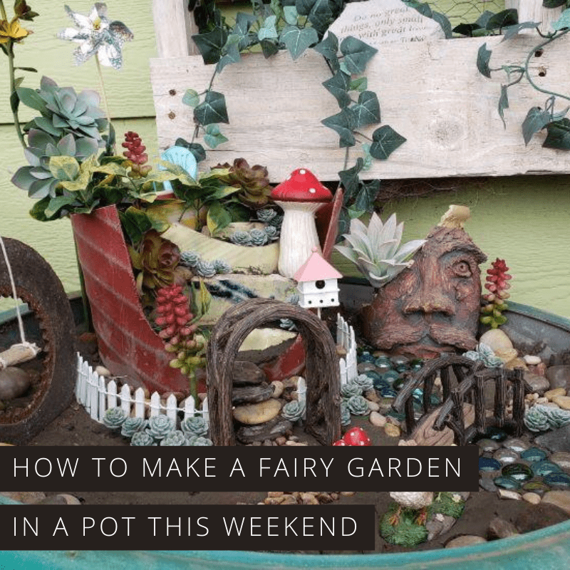 Find out just how easy it is to make a fairy garden in a pot - a fun weekend activities for kids and grownups to do together!