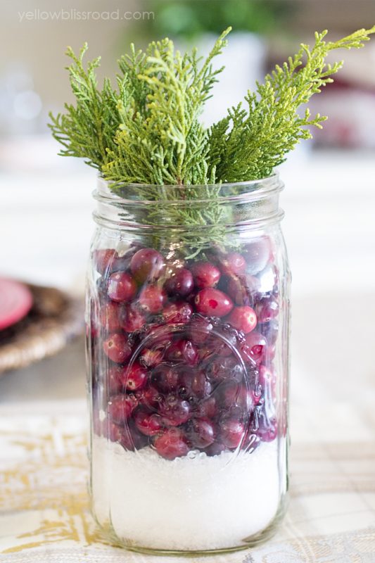 Oh my - these Cranberry Mason Jar centrepieces are BEAUTIFUL and so EASY to make!