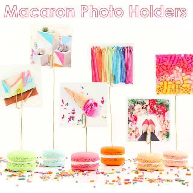 Macaron Photo Holders