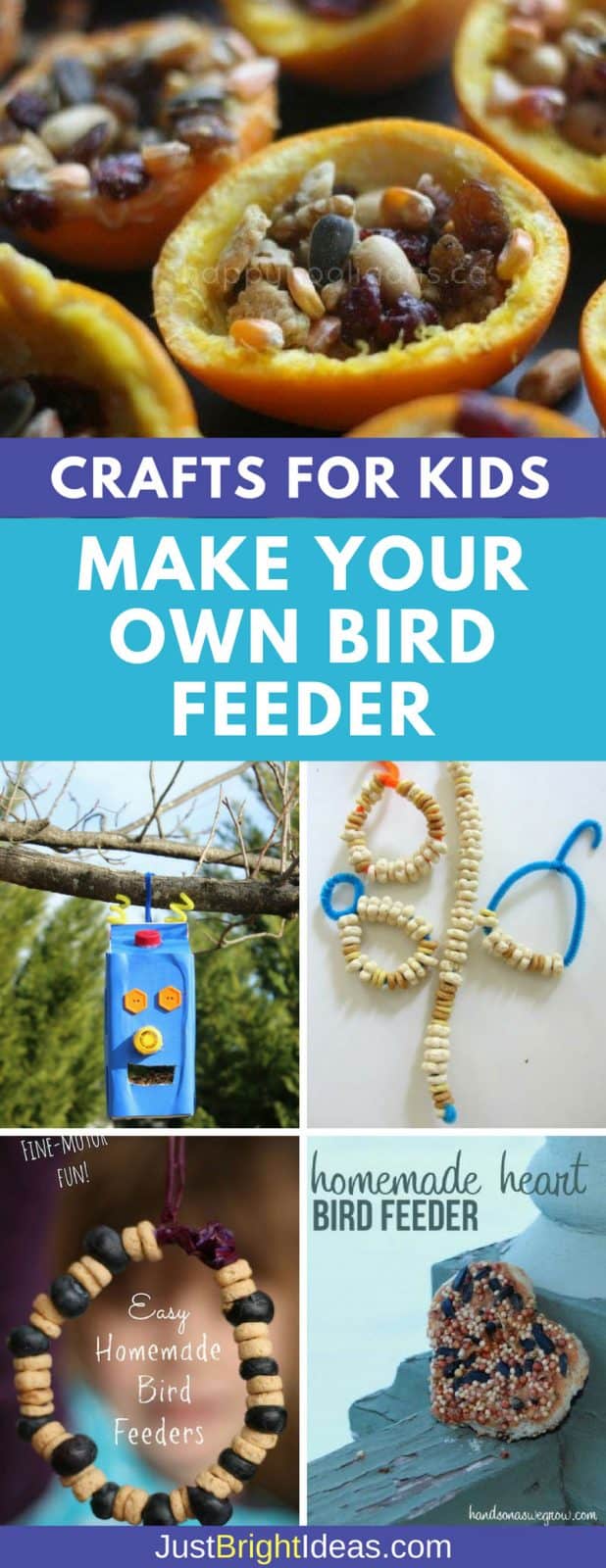 10 Easy Ways to Make Your Own Bird Feeder with Your Kids