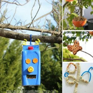 Make Your Own Bird Feeder Station