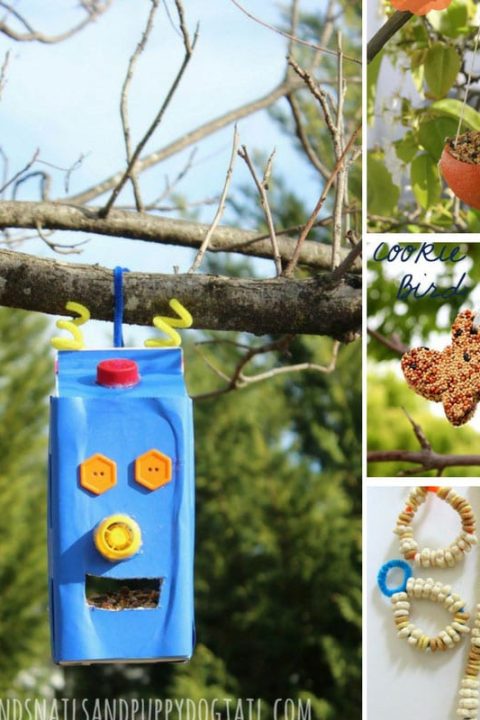 Make Your Own Bird Feeder Station