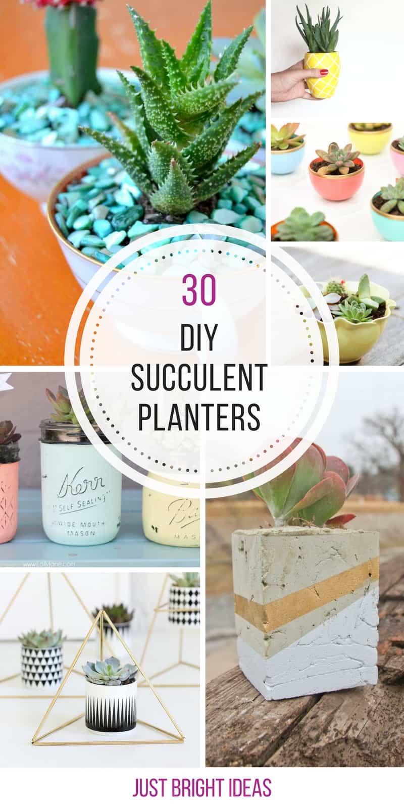 30 Gorgeous DIY Succulent Planters You Need to Make