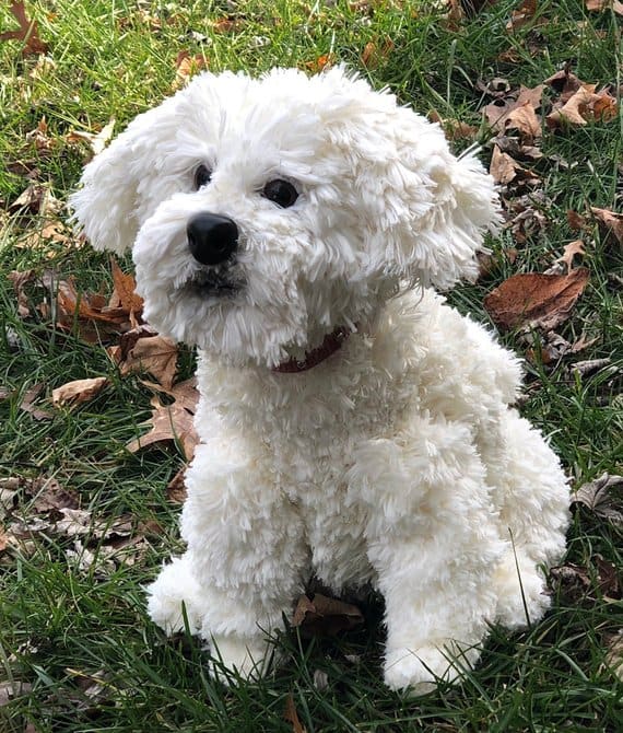 Maltese Puppy Amigurumi Pattern