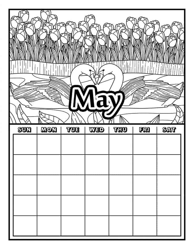 May calendar with swans coloring page