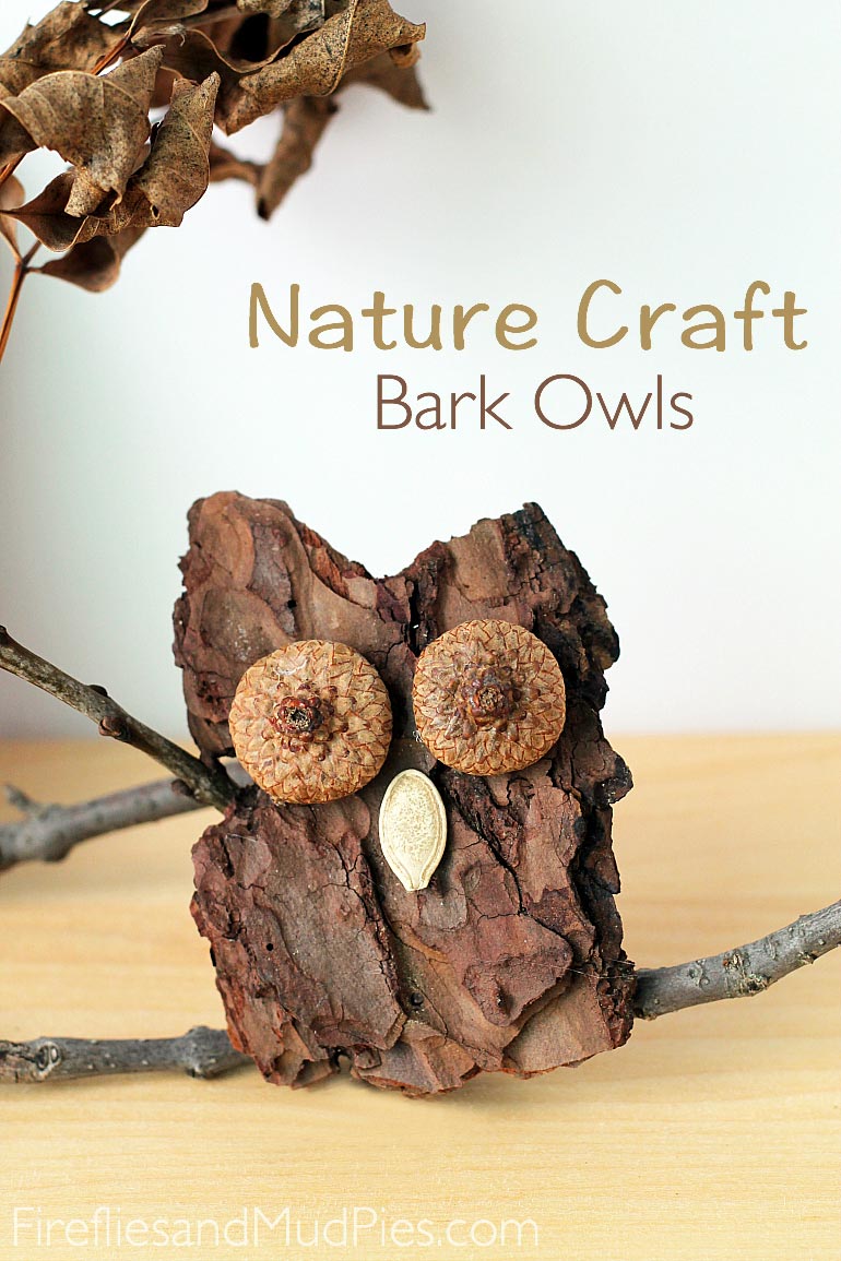 http://www.firefliesandmudpies.com/2014/08/30/bark-owl-craft/