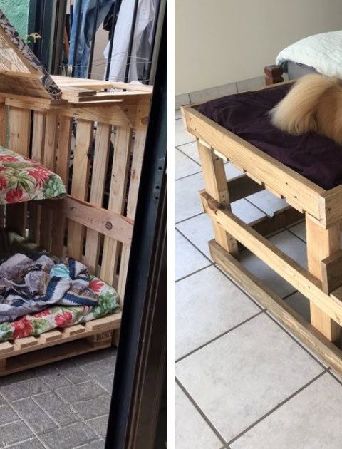 Looking to create a unique, budget-friendly retreat for your dog? ? Our DIY guide shows you how to craft durable and charming dog houses and beds from pallets. Perfect for beginners and woodworking pros alike, these projects add style and comfort to any outdoor space. ? Watch our step-by-step videos and get inspired by various creative designs to build the ultimate sanctuary for your beloved pet! ?️ #DIYDogHaven #PalletCrafts #PetParadise