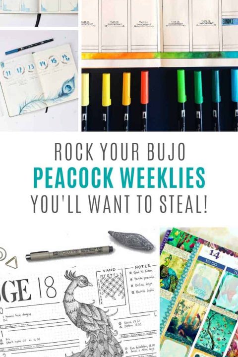 I totally need to do a peacock themed weekly spread in my bullet journal next week!