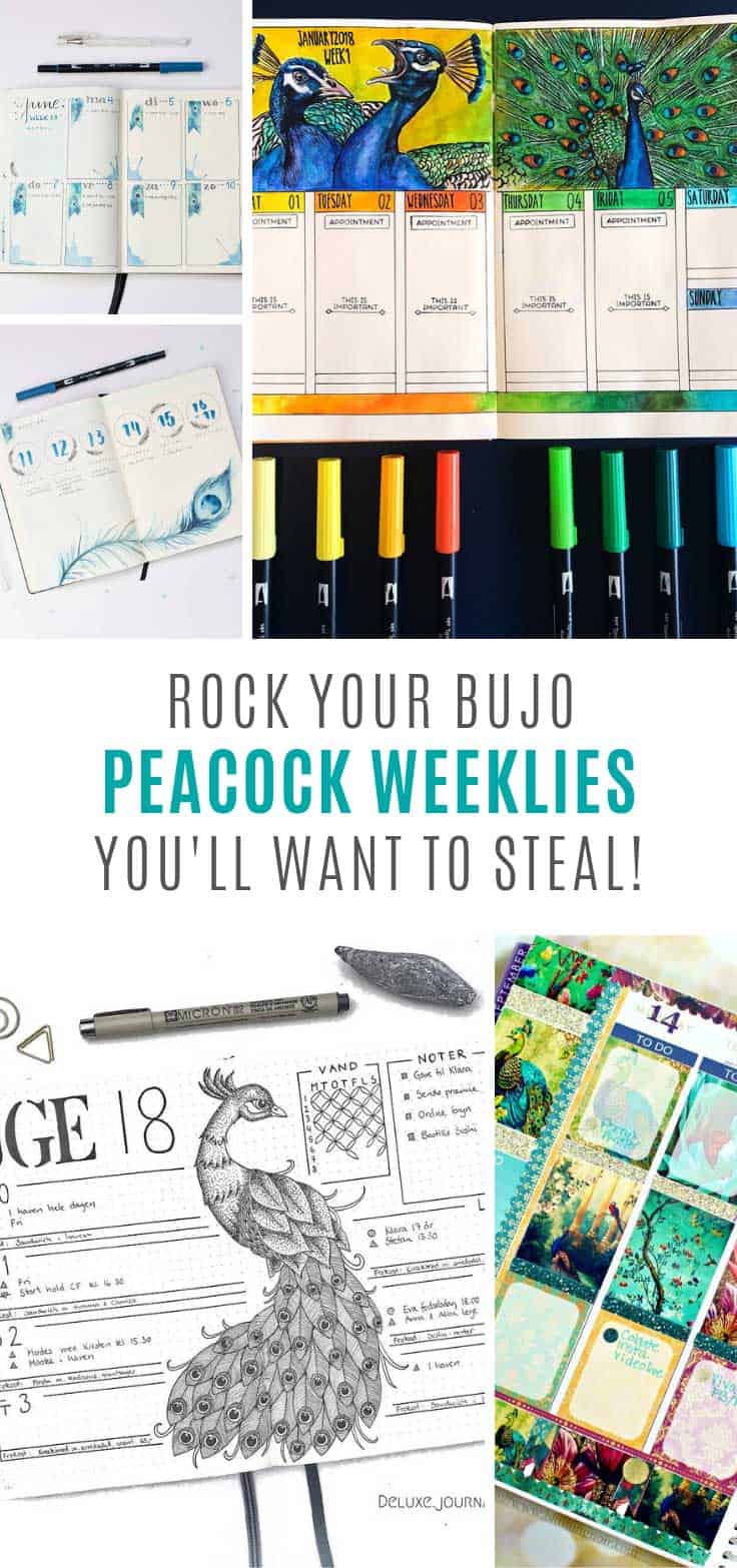 7 Gorgeous Peacock Weekly Bullet Journal Ideas You Need to See