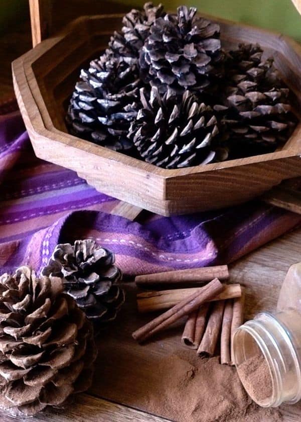 Pinecone Pot Pourii