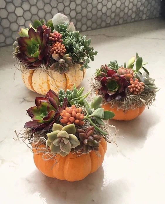 Get ready to decorate with these stunning fall flower arrangements in pumpkins! 🎃🍂 From real pumpkin flower arrangements to fake pumpkin flower arrangements, we've got you covered. 🌿 Discover unique designs that showcase the beauty of autumn with gorgeous blooms and festive gourds. Whether you're preparing for Thanksgiving or simply love fall vibes, these DIY arrangements are the perfect way to bring nature indoors. Learn how to make them yourself! 🧡✨ #FallDecor #PumpkinFlowers #DIYProjects