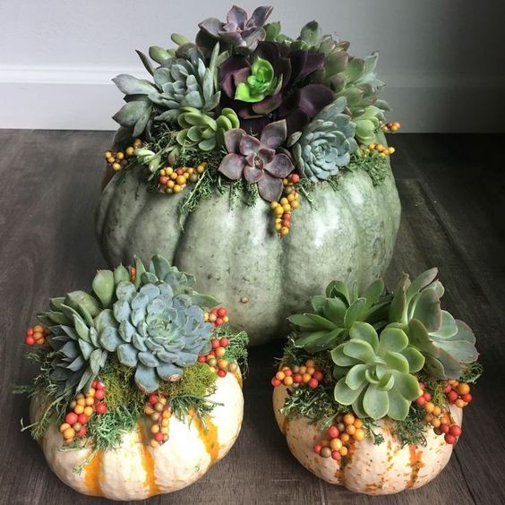 Transform your home with stunning Thanksgiving Pumpkin Flower Arrangements! 🎃💐 Perfect for adding a festive touch to your holiday decor, these DIY ideas blend seasonal flowers with both real and fake pumpkins. 🧡✨ Learn how to make your own beautiful creations with easy step-by-step guides. From gourd flower arrangements to charming centerpieces, these projects will impress your guests and bring the warmth of fall indoors! 🍁🏡 #ThanksgivingDecor #PumpkinFlowers #DIYHomeDecor