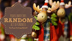 RAOK card Reindeer