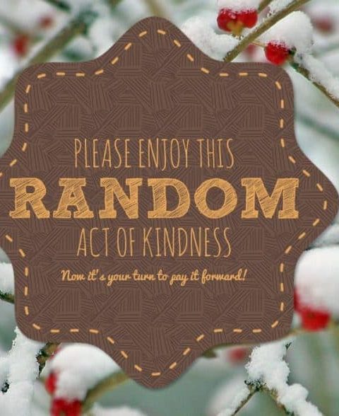 Introducing the Kindness Kiddos - an Elf on the Shelf Alternative