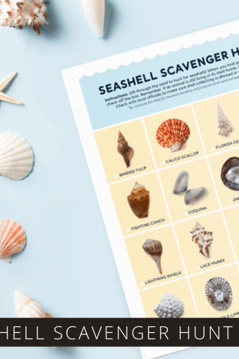 Whether you're heading to the beach or looking for a fun activity to do at home these free seashell scavenger hunt and flash card printables are fun for all ages.