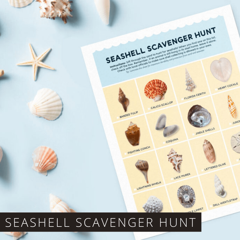 Whether you're heading to the beach or looking for a fun activity to do at home these free seashell scavenger hunt and flash card printables are fun for all ages.