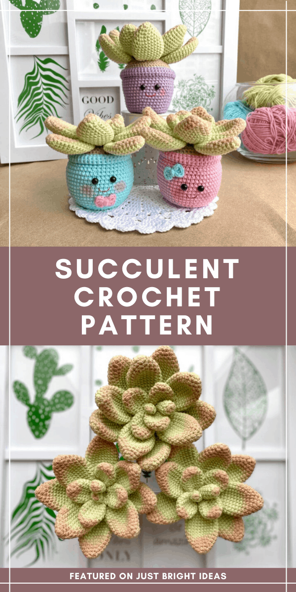 If you're looking for a sweet gift for Mother's Day or just for a friend to show you are thinking of her you cannot beat these cute kawaii succulents! The crochet pattern is easy to follow too!