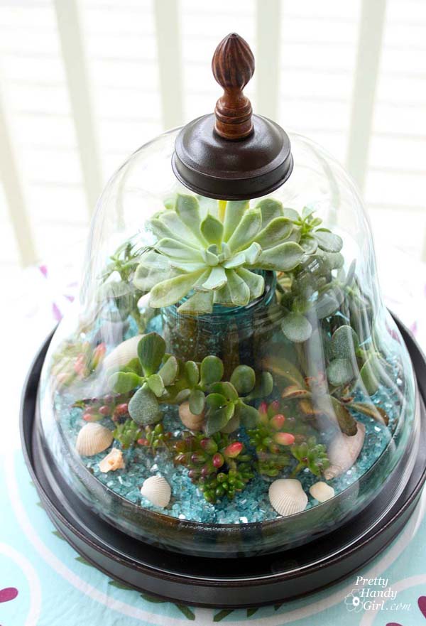 Unique Terrarium Ideas | Succulents | DIY | Glass Planters | Unique Wedding Favors