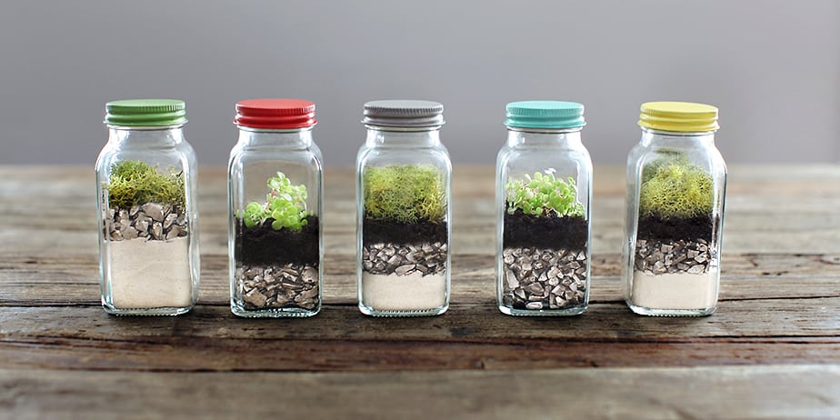 Unique Terrarium Ideas | Succulents | DIY | Glass Planters | Unique Wedding Favors