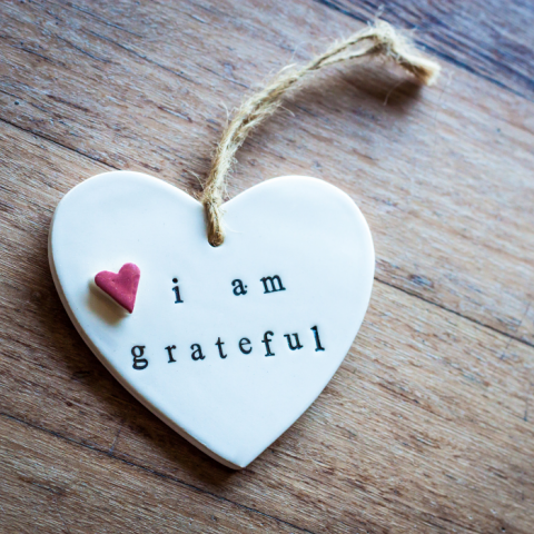 6 Easy Activities to Teach Gratitude to Your Children