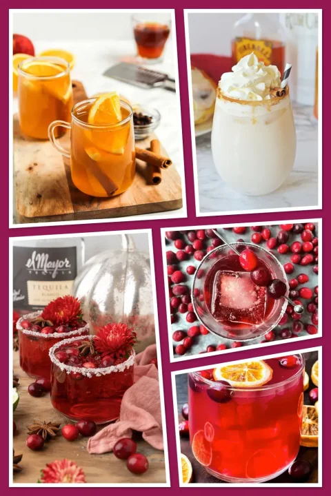 This Thanksgiving, cozy up with cocktails inspired by the best fall flavors! ? From pumpkin pie martinis to spiced rum cider, these drinks bring all the warmth and cheer you need for a festive celebration. ??