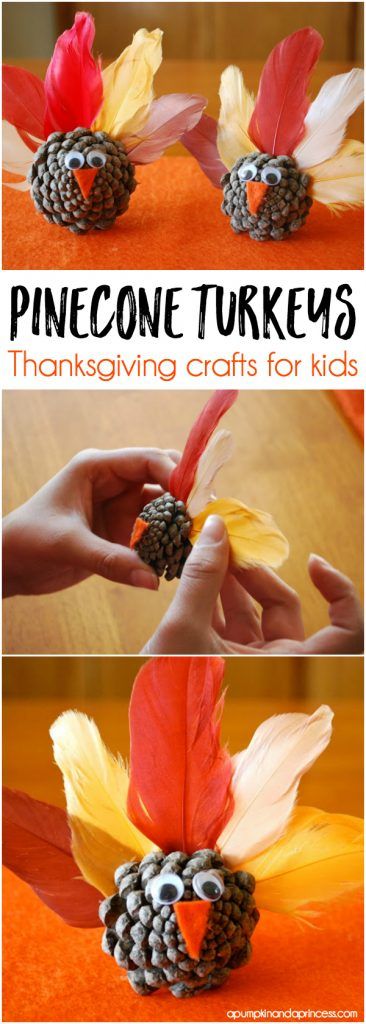 Thanksgiving Preschool Craft Pinecone Turkeys