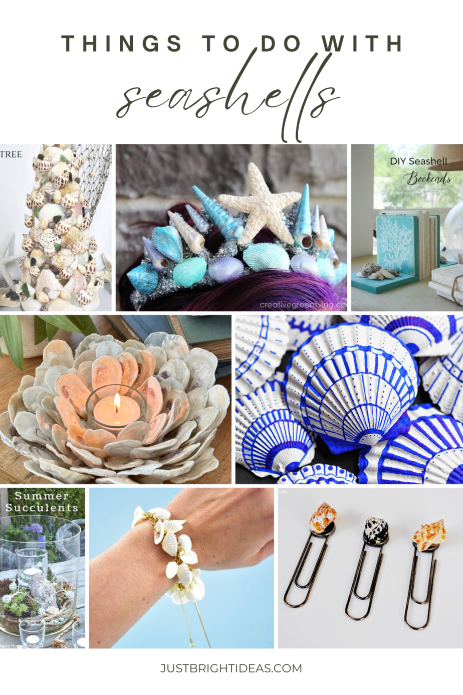 Creative things to do with seashells! From stunning home decor to exquisite jewelry, dive into the endless world of crafts! Let your imagination run wild and bring the beach vibes to your creations. Get inspired today! 🐚✨ #SeashellCrafts #CraftersParadise