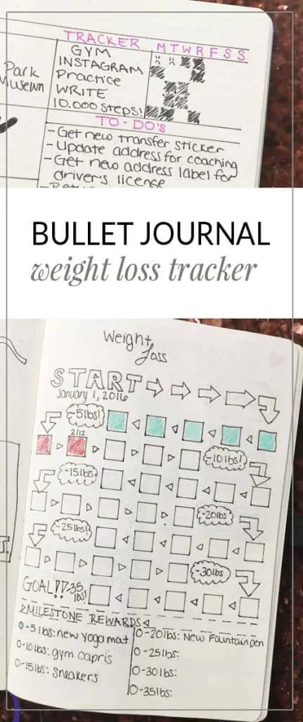 Track your weight loss