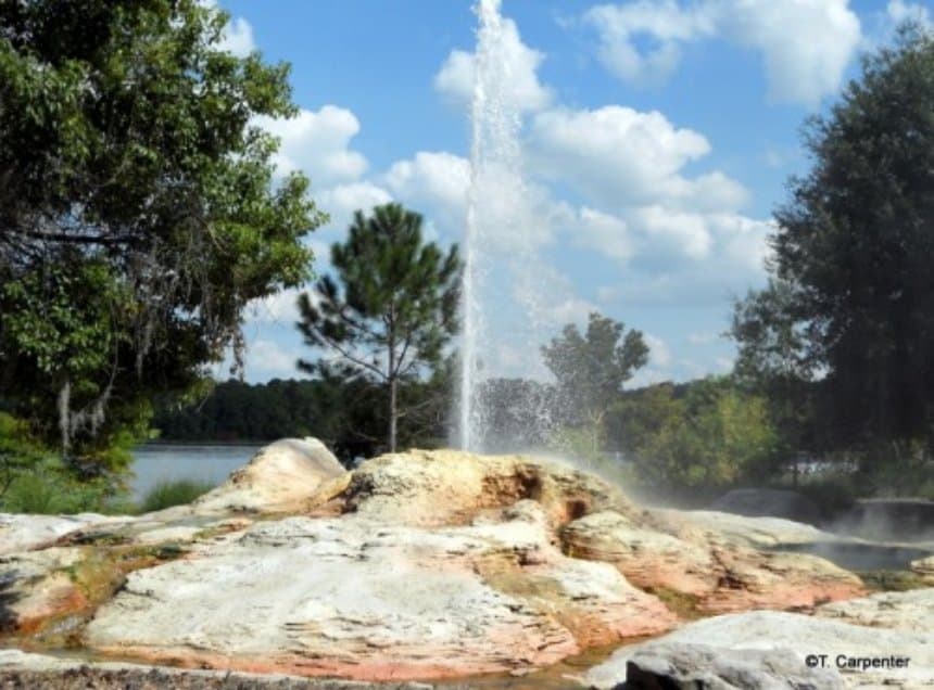 The Old Faithful Geyser erupts throughout the day at the Wilderness Lodge