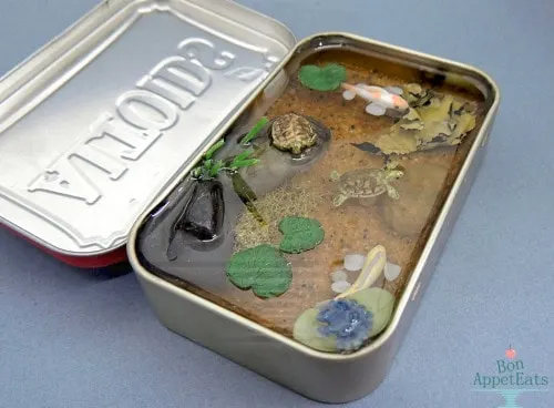 Turn your Altoid tin into a fish pond