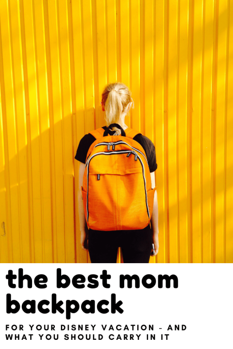 If you're wondering about the best bag to take to the Disney parks you'll want to check out our thoughts on the best mom backpack!
