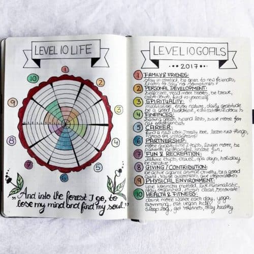 10 Ways to Track Your Level 10 Life in Your Bullet Journal