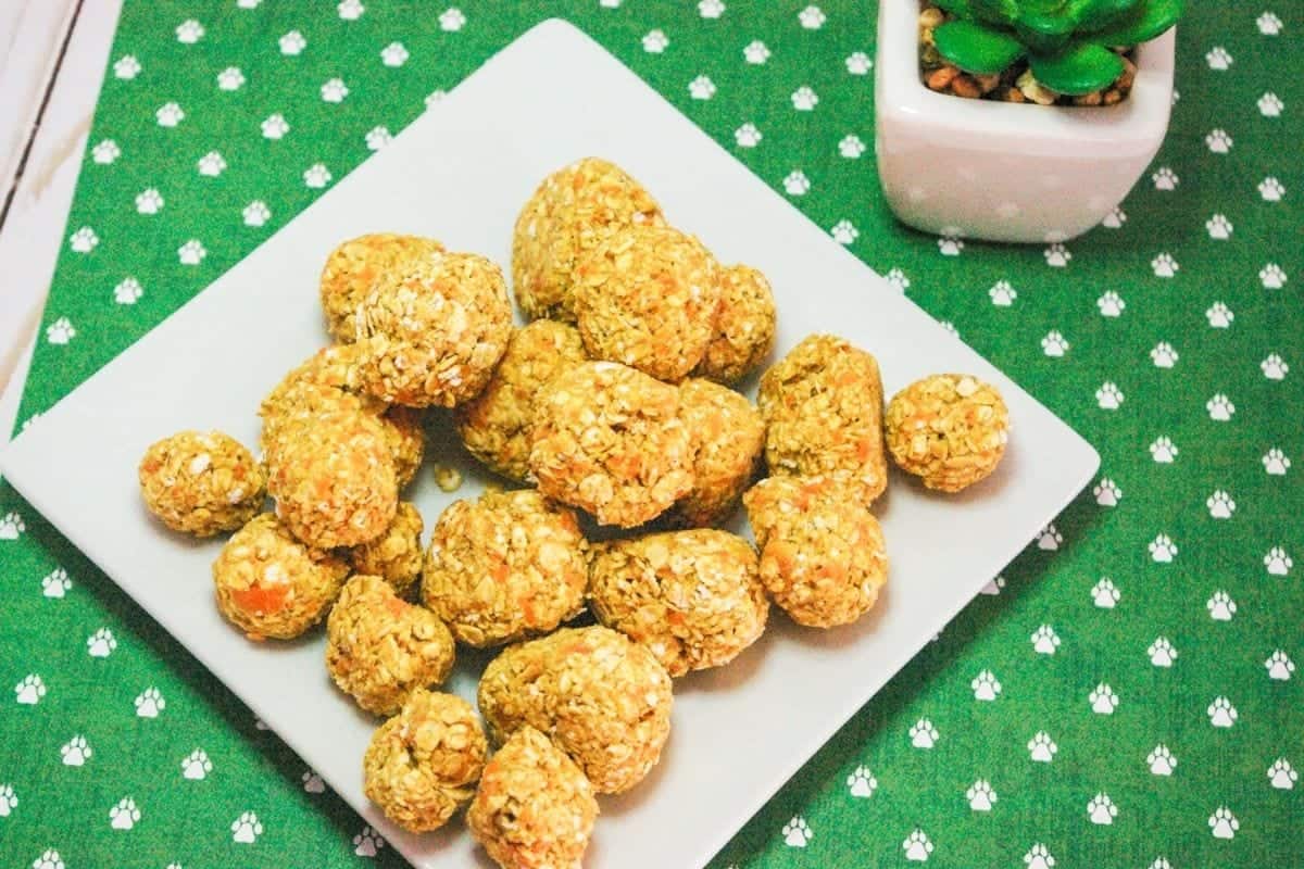 10 Homemade No Bake Dog Treats To Make Your Pup Drool