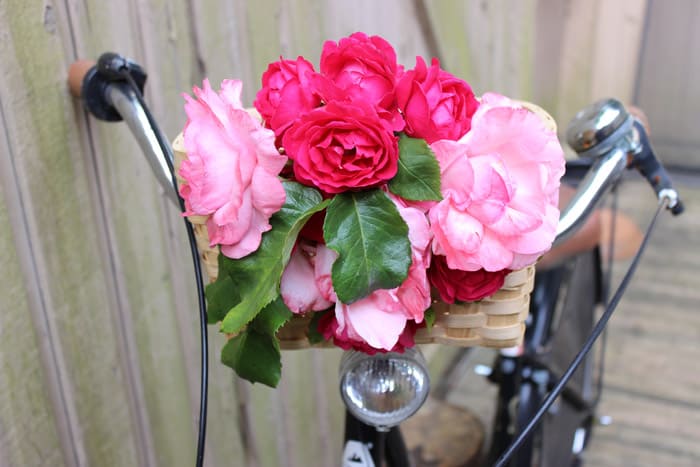 How to Decorate a Bike: Weave flowers into the basket