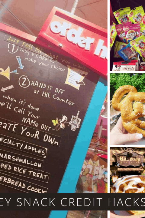 Don't make these mistakes with your Disney dining plan snack credits!