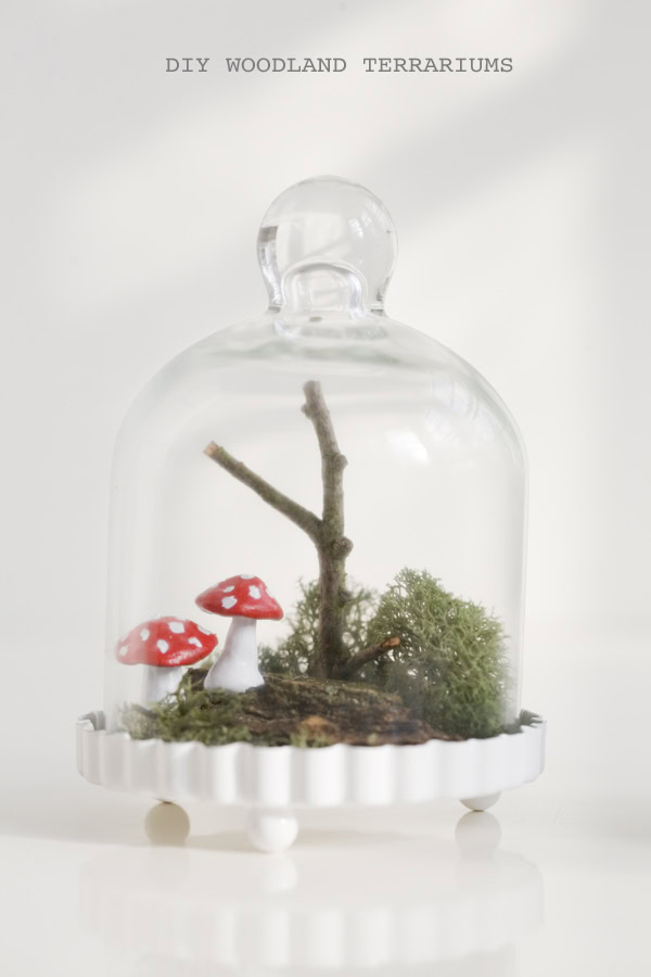 Unique Terrarium Ideas | Succulents | DIY | Glass Planters | Unique Wedding Favors