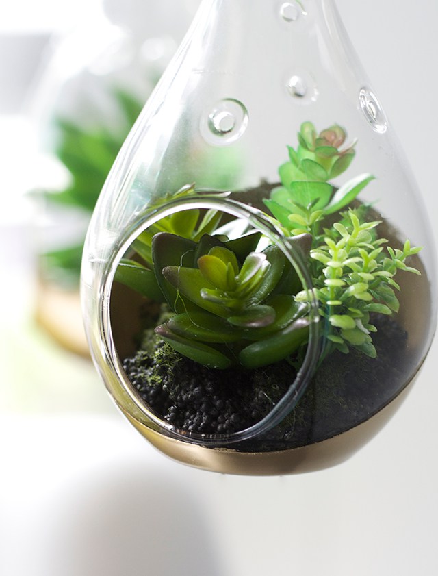 Unique Terrarium Ideas | Succulents | DIY | Glass Planters | Unique Wedding Favors