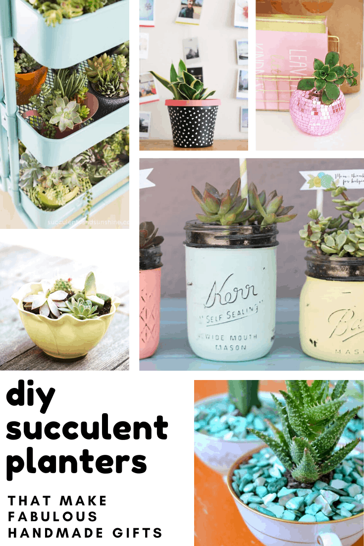 Loving these DIY succulent plants and they make wonderful handmade gifts for a hostess or housewarming