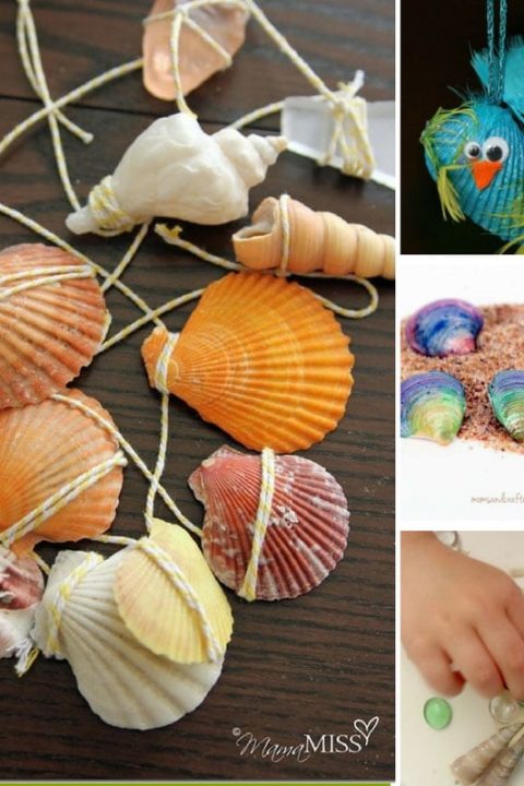 easy seashell crafts for kids