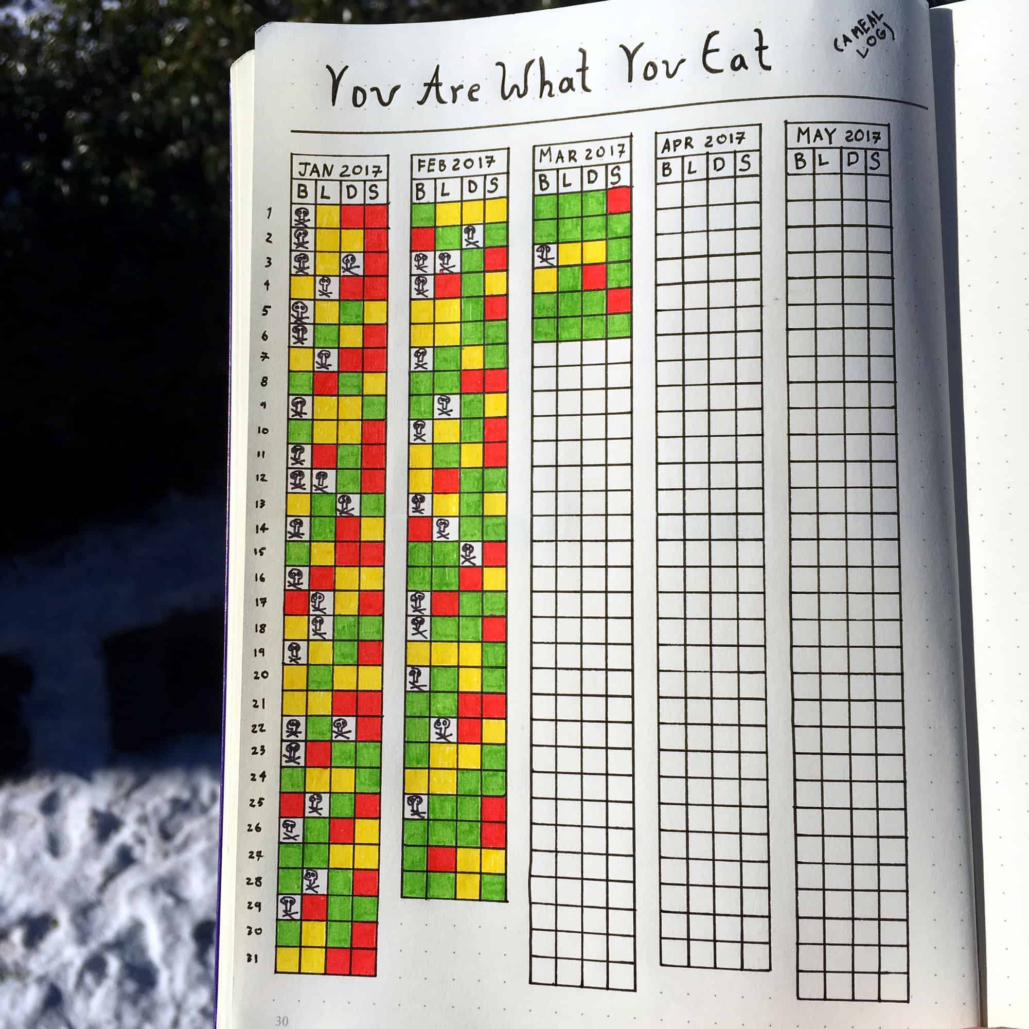 Keep your eating on track with your bujo