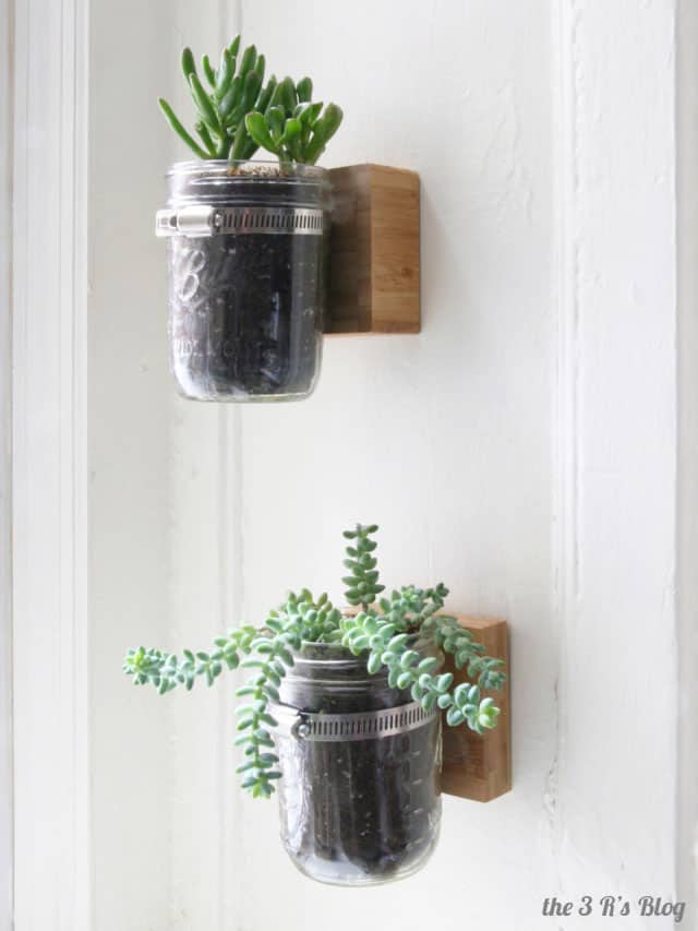 Hanging Mason Jar Planter