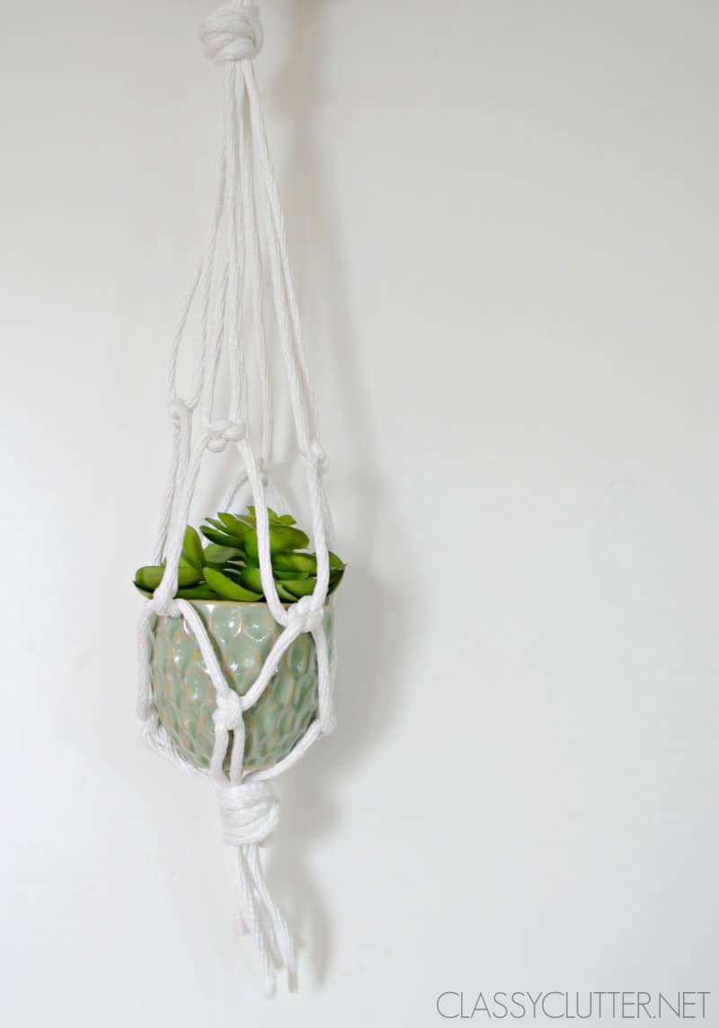 DIY Macramé Hanging Planter