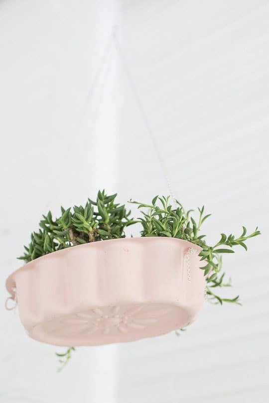 DIY Hanging Bundt Cake Pan Planters