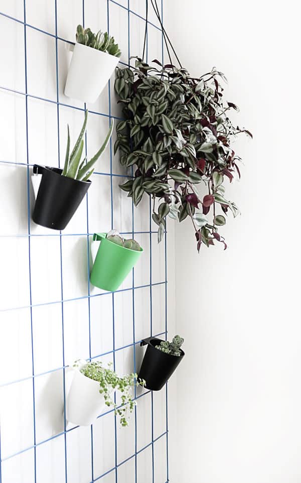 DIY Hanging Plant Wall